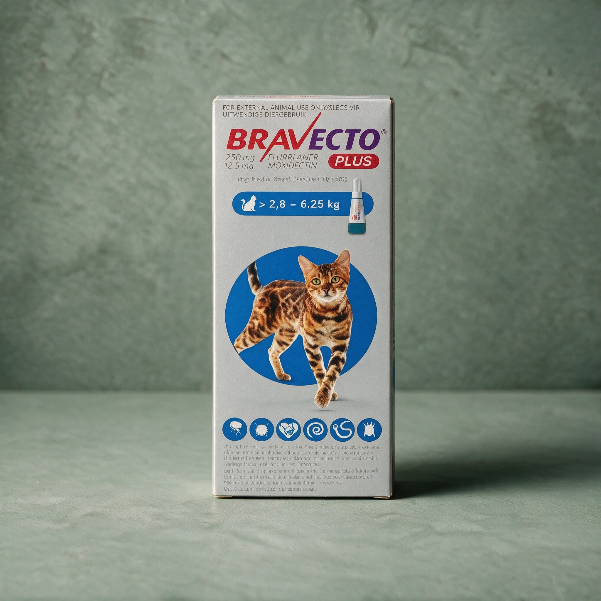 Grey/silver Bravecto Plus for Cats box, blue band, 2.8-6.25kg pack (250mg fluralaner + 12.5mg moxidectin), with the Bravecto logo and a flea/tick/heart/roundworm-hookworm icon row on the front panel.