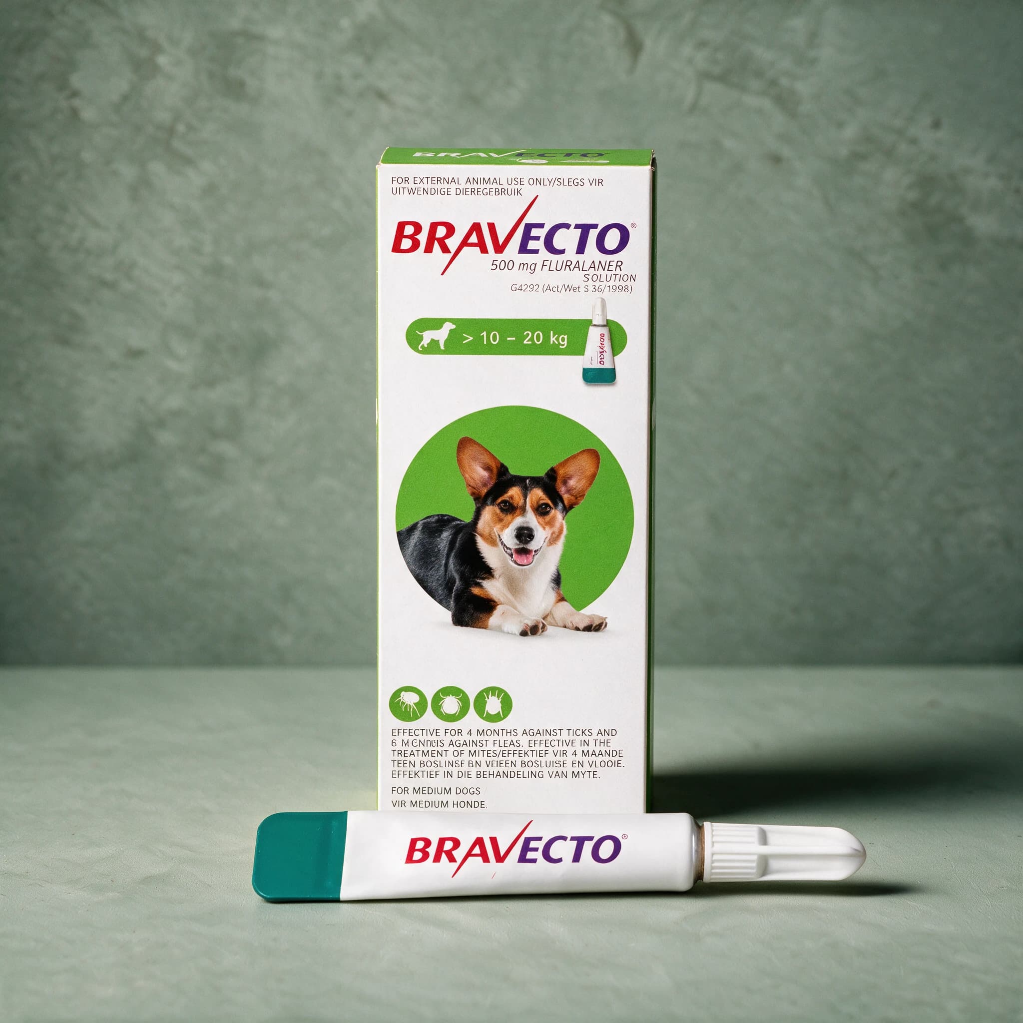 Green-accented Bravecto Spot-On for Dogs box, 'For Medium Dogs' 10-20kg pack (500mg fluralaner), with the Bravecto logo, '4 months against ticks, 6 months against fleas' duration text, and a capped applicator tube shown in front of the box.