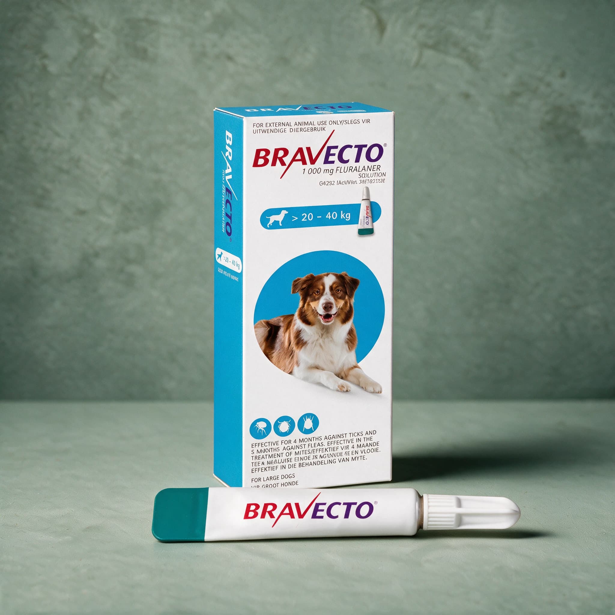 Blue-accented Bravecto Spot-On for Dogs box, 'For Large Dogs' 20-40kg pack (1000mg fluralaner), with the Bravecto logo and a capped applicator tube shown in front of the box.