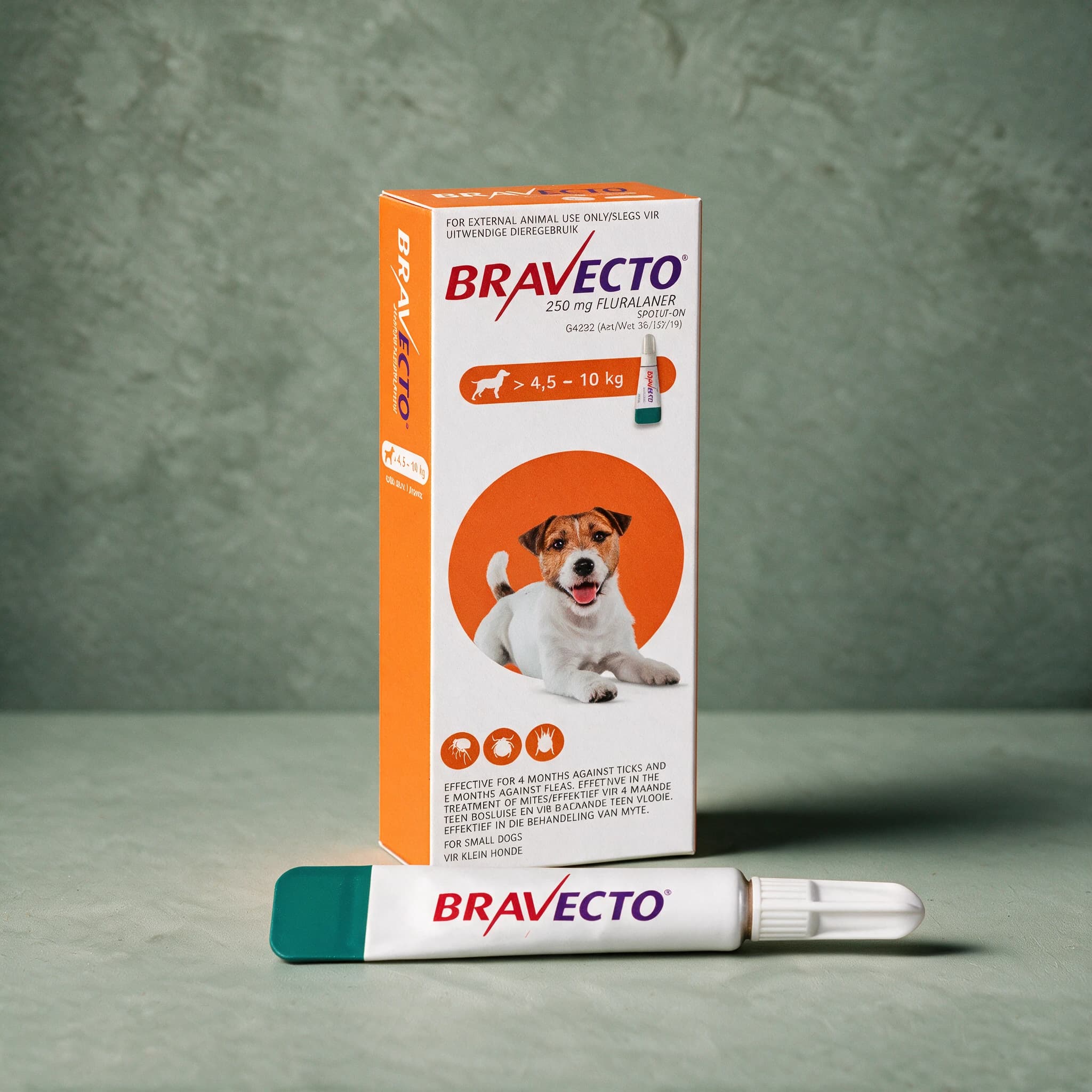 Orange-accented Bravecto Spot-On for Dogs box, 'For Small Dogs' 4.5-10kg pack (250mg fluralaner), with the Bravecto logo and a capped applicator tube shown in front of the box.