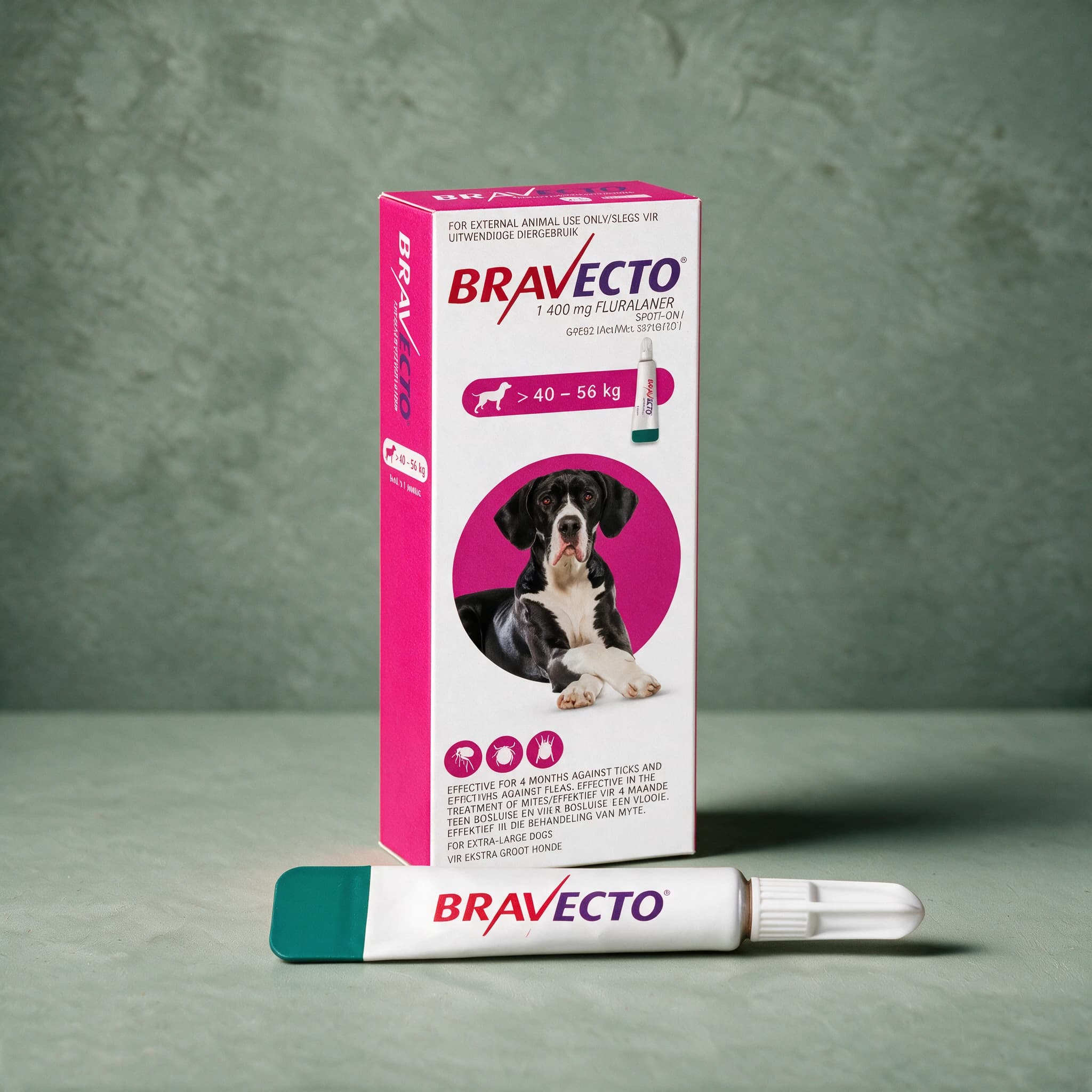 Pink-accented Bravecto Spot-On for Dogs box, 'For Extra-Large Dogs' 40-56kg pack (1400mg fluralaner), with the Bravecto logo and a capped applicator tube shown in front of the box.