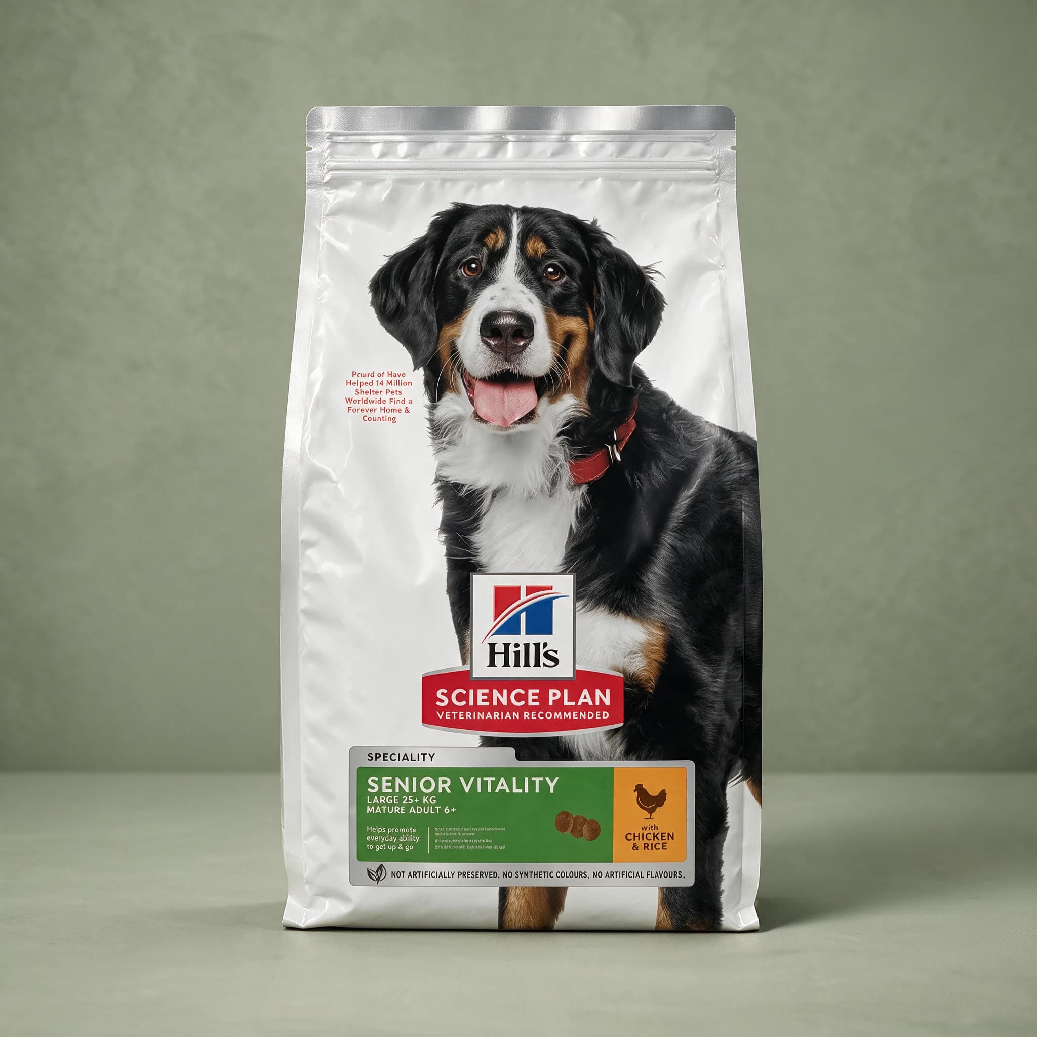 Front view of the white Hill's Science Plan Senior Vitality Large Mature Adult dry dog food bag, standing alone against a sage green studio background, showing a Bernese Mountain Dog with a red collar on the label and the green "Senior Vitality" band reading "Large 25+ kg, Mature Adult 6+" with chic