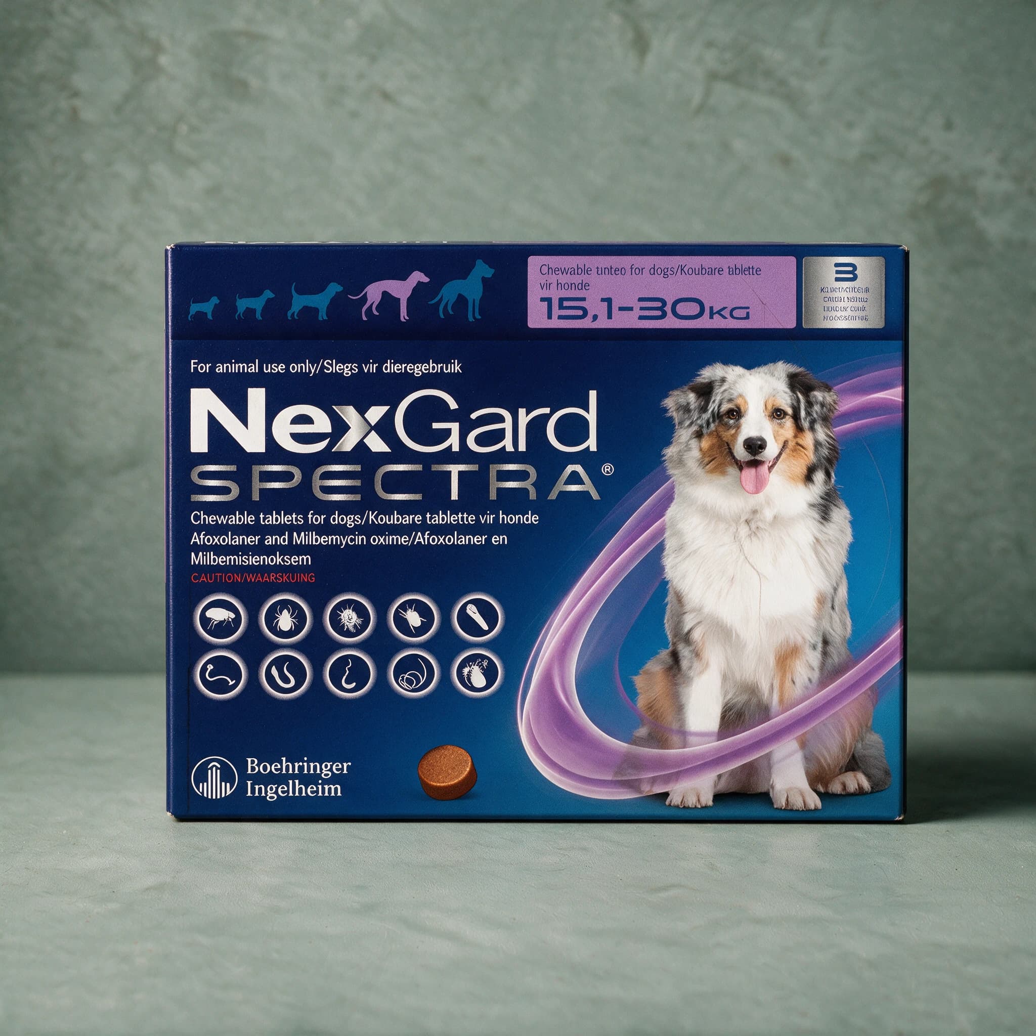 Purple and navy box of NexGard Spectra Chewable Tablets for Dogs, 15.1-30kg pack, with the NexGard Spectra logo, Collie dog picture and flea/tick/worm icon row on the front panel.