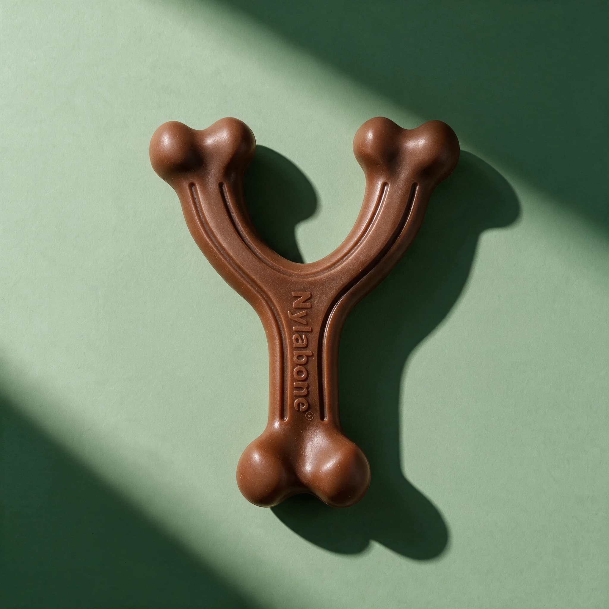 Close-up overhead shot of the brown Nylabone Extreme Chew Wishbone toy, showing its knobbly, bumpy textured surface and Y-shaped bone design with the Nylabone logo embossed along the stem, on a sage green background.