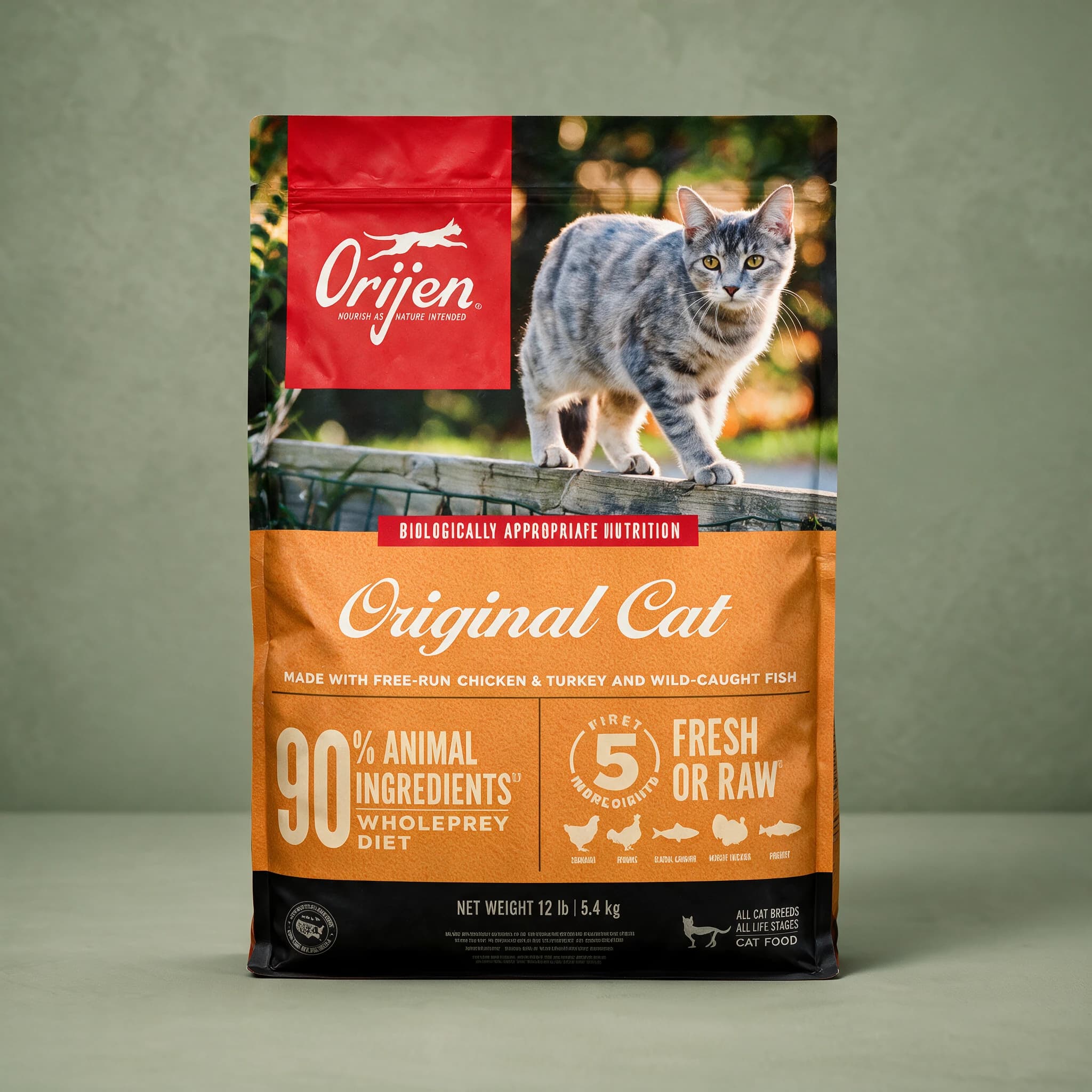 The red, orange, and black Orijen Original Cat dry cat food bag featuring a grey tabby cat walking along a wooden fence outdoors, photographed alone against a sage green studio background.