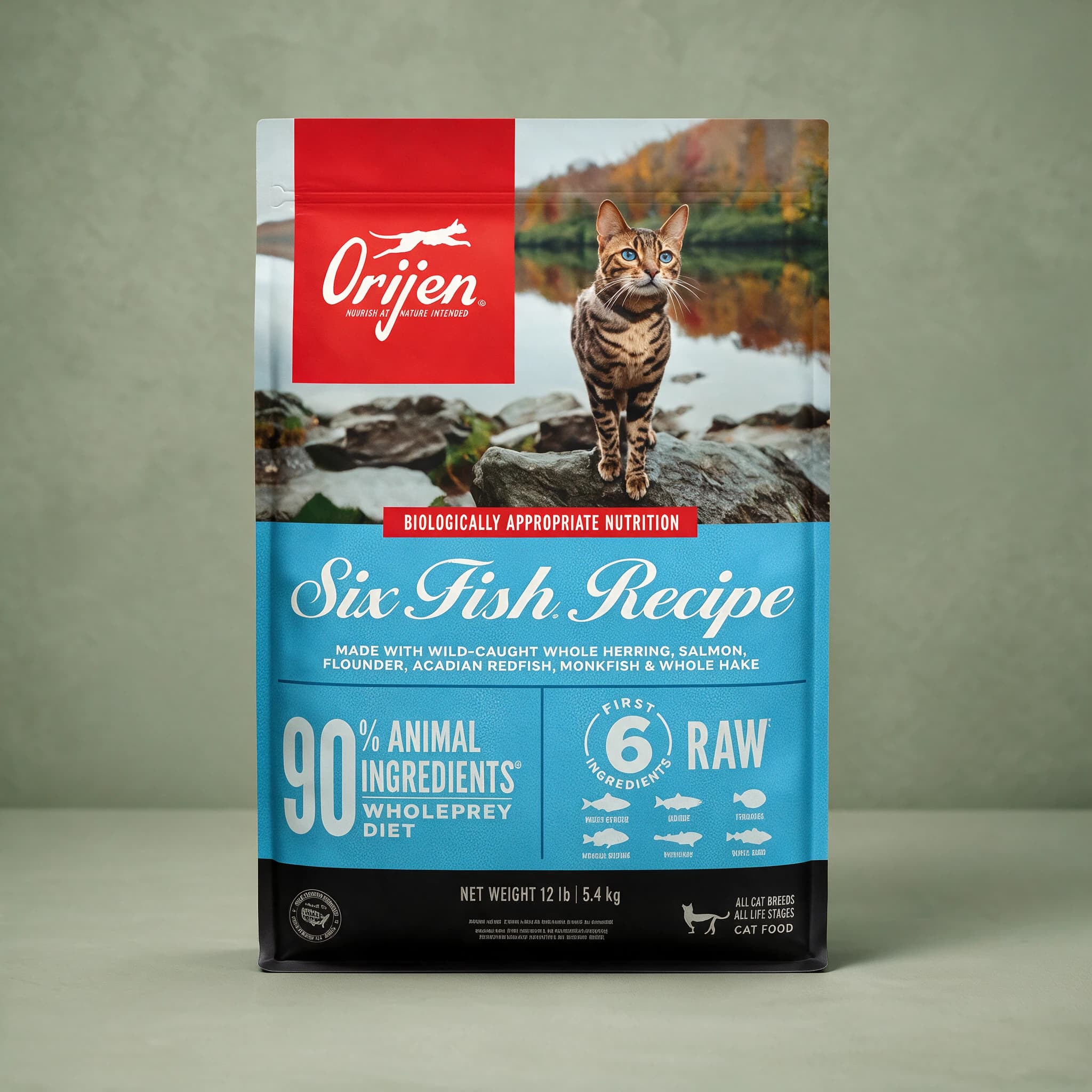 The red, blue, and black Orijen Six Fish Recipe dry cat food bag featuring a striped Bengal cat standing on lakeside rocks at sunset, photographed alone against a sage green studio background.