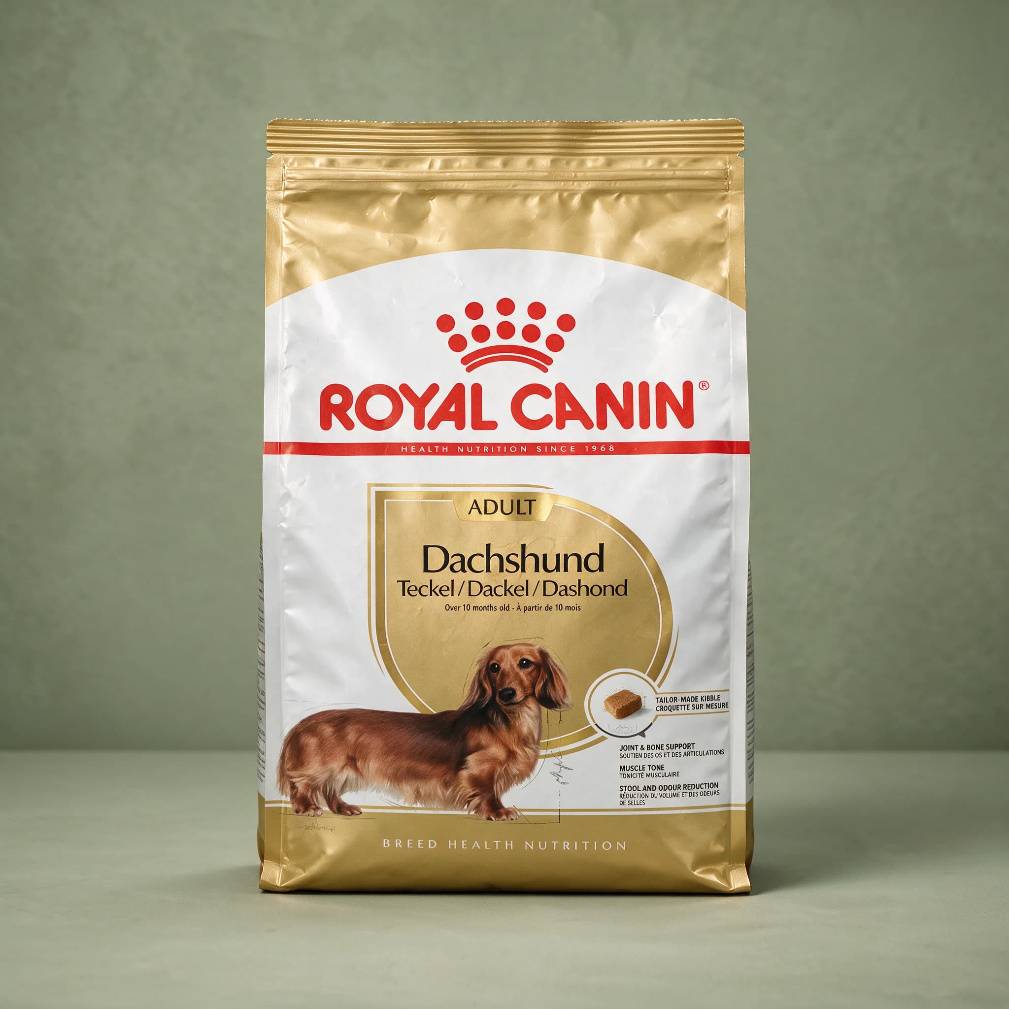 The white Royal Canin Dachshund Adult dry dog food bag featuring a Dachshund illustration and breed-specific nutrition text, against a sage green studio background.