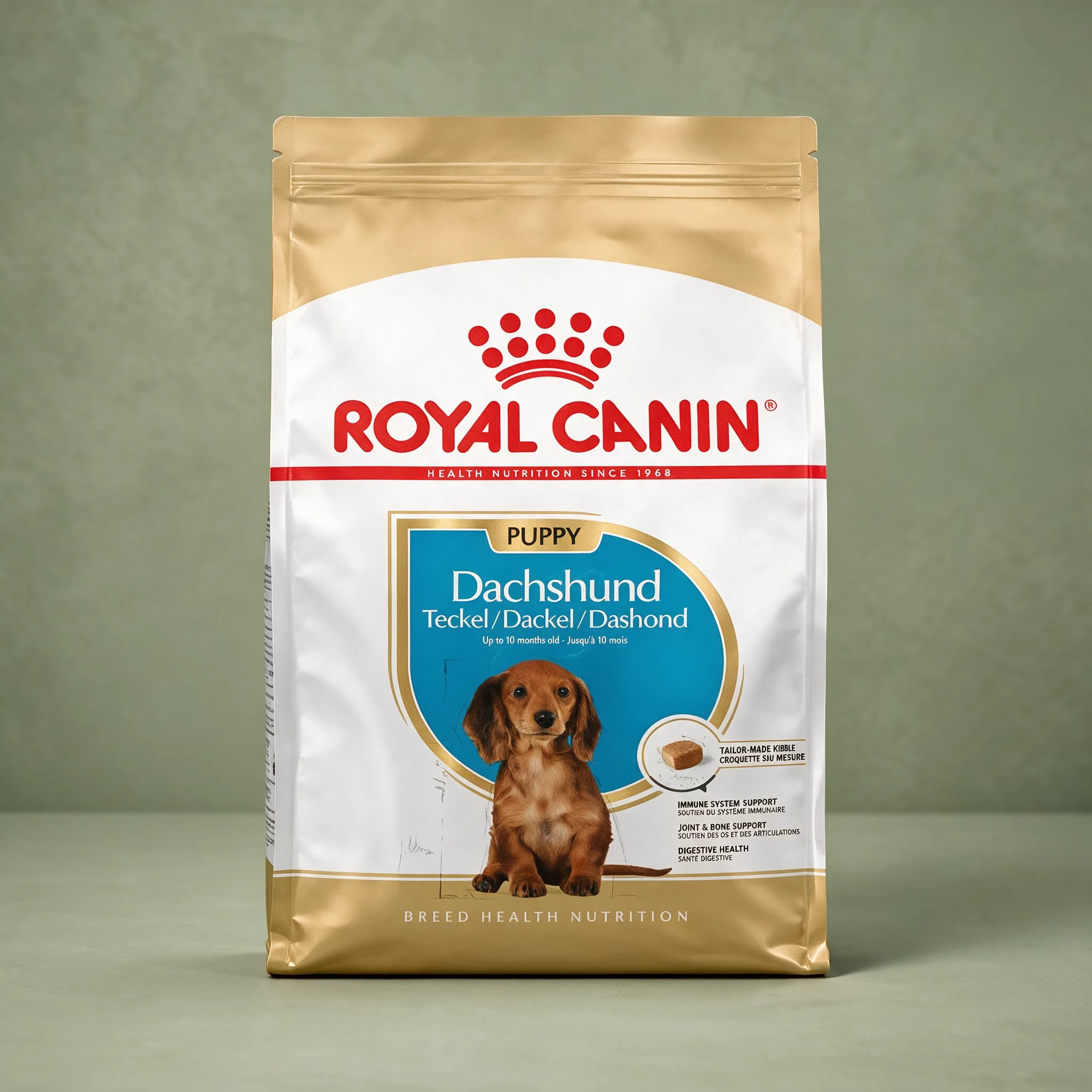 A gold and white Royal Canin Dachshund Puppy dry dog food bag with an illustrated Dachshund puppy on the front, photographed against a plain sage green studio background.