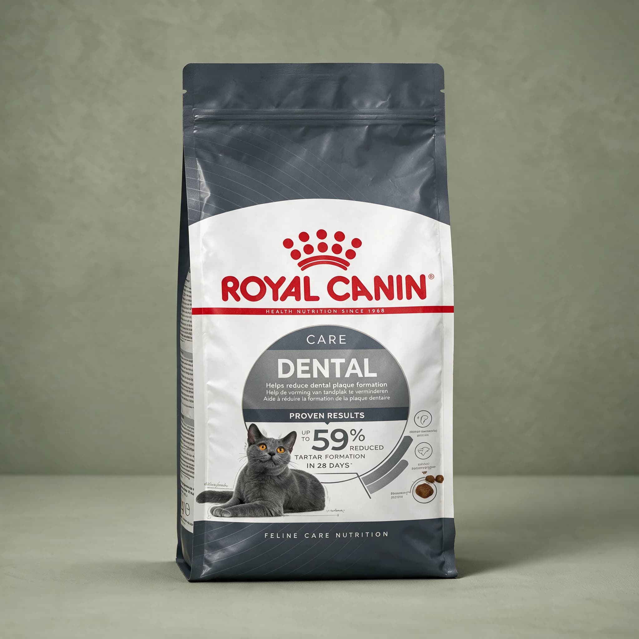 A Royal Canin Dental Care Adult dry cat food bag with a cat illustration and dental health callouts on the front, photographed against a plain sage green studio background.