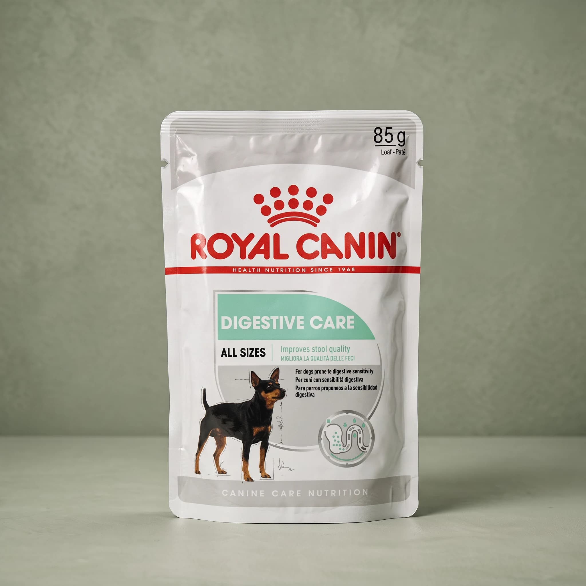 A white Royal Canin Digestive Care wet dog food pouch labeled "All Sizes, Improves Stool Quality" with an illustration of a small breed dog and an "85g Loaf-Paté" label, standing upright against a plain sage green studio background.