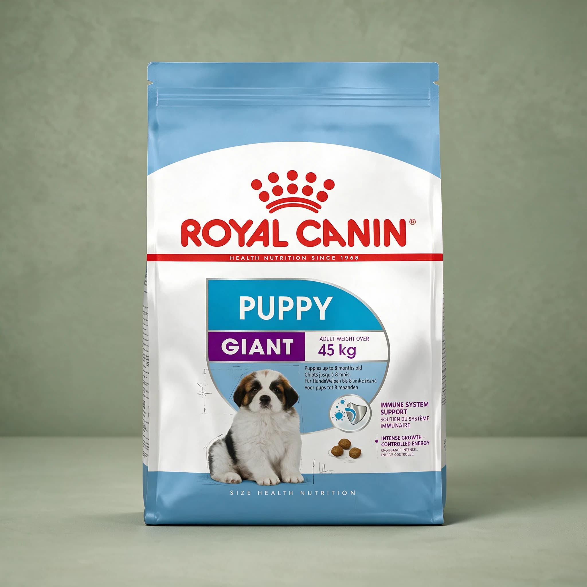The gold and blue Royal Canin Giant Puppy dry dog food bag, featuring an illustration of a large-breed puppy such as a St. Bernard, photographed against a plain sage green studio background.
