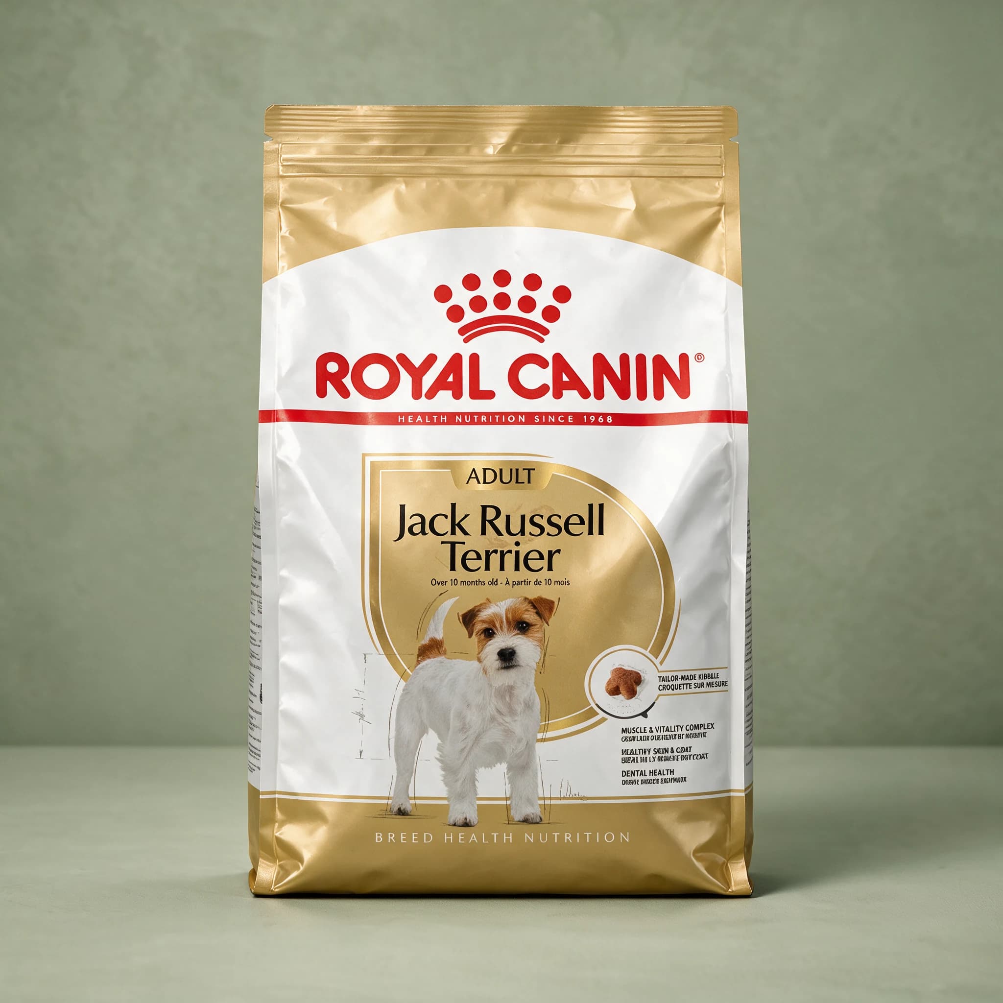 The gold and white Royal Canin Breed Health Nutrition bag labeled "Jack Russell Adult" with an illustration of a Jack Russell Terrier, photographed against a plain sage green studio background.