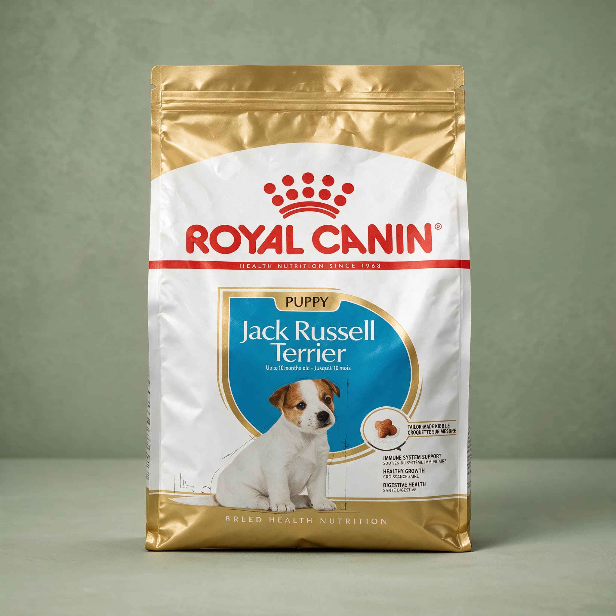 The white Royal Canin Jack Russell Puppy dry dog food bag featuring an illustration of a Jack Russell Terrier puppy, against a sage green studio background.
