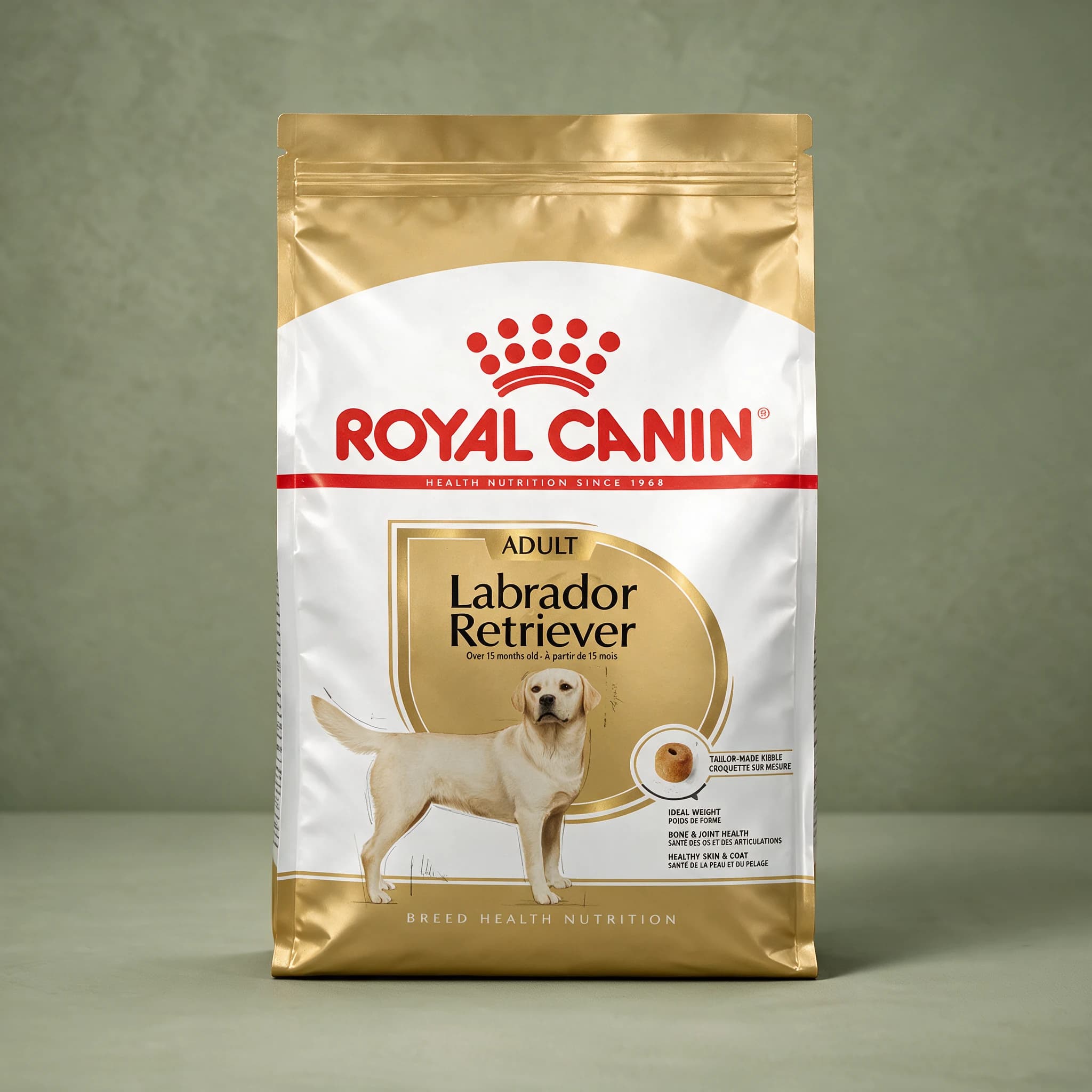 The gold and white Royal Canin Breed Health Nutrition bag labeled "Labrador Adult" with an illustration of a Labrador Retriever, photographed against a plain sage green studio background.