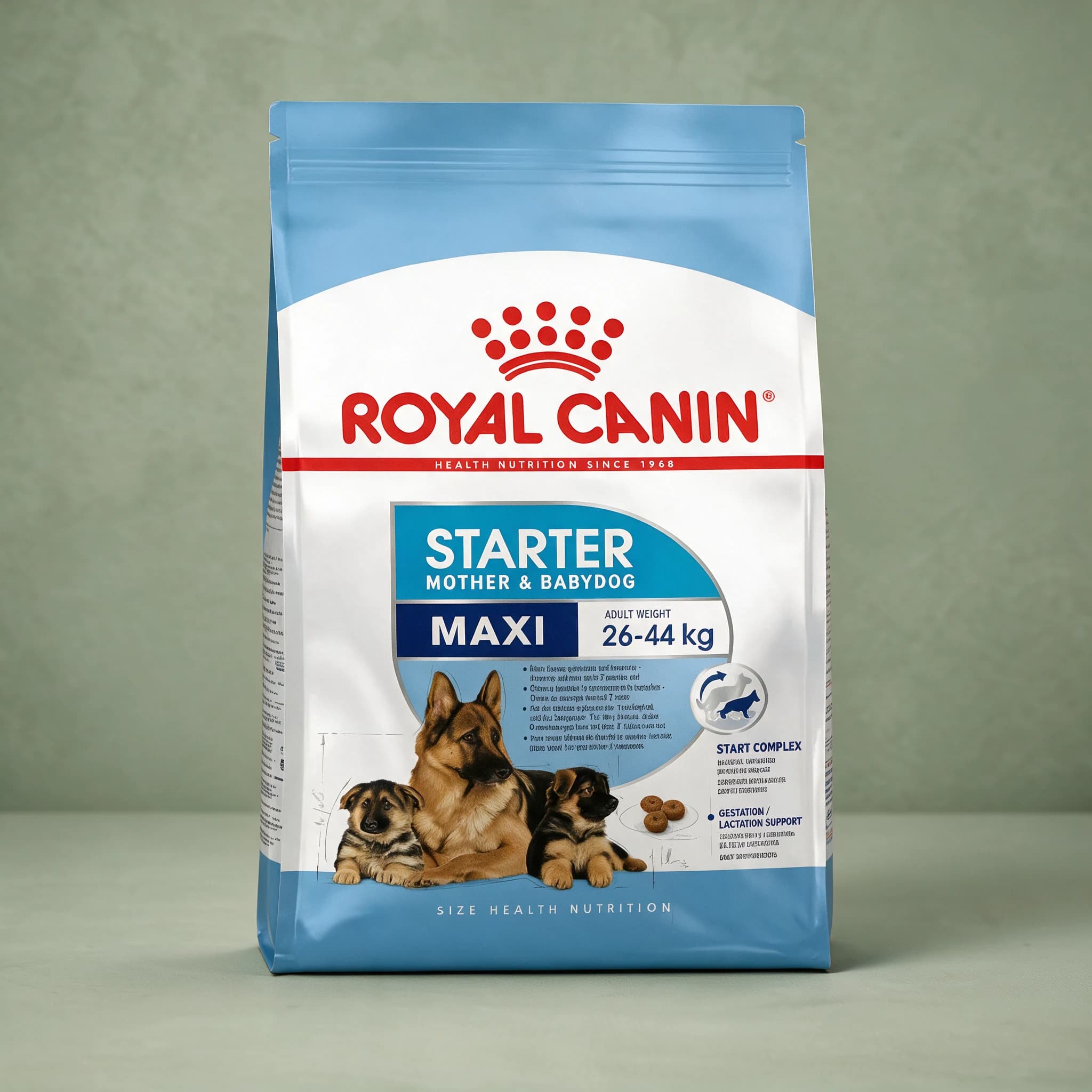 The blue and white Royal Canin "Starter Mother & Babydog Maxi" bag with the red crown logo, adult weight 26-44kg, and an illustration of a German Shepherd mother with two puppies, photographed against a plain sage green studio background.