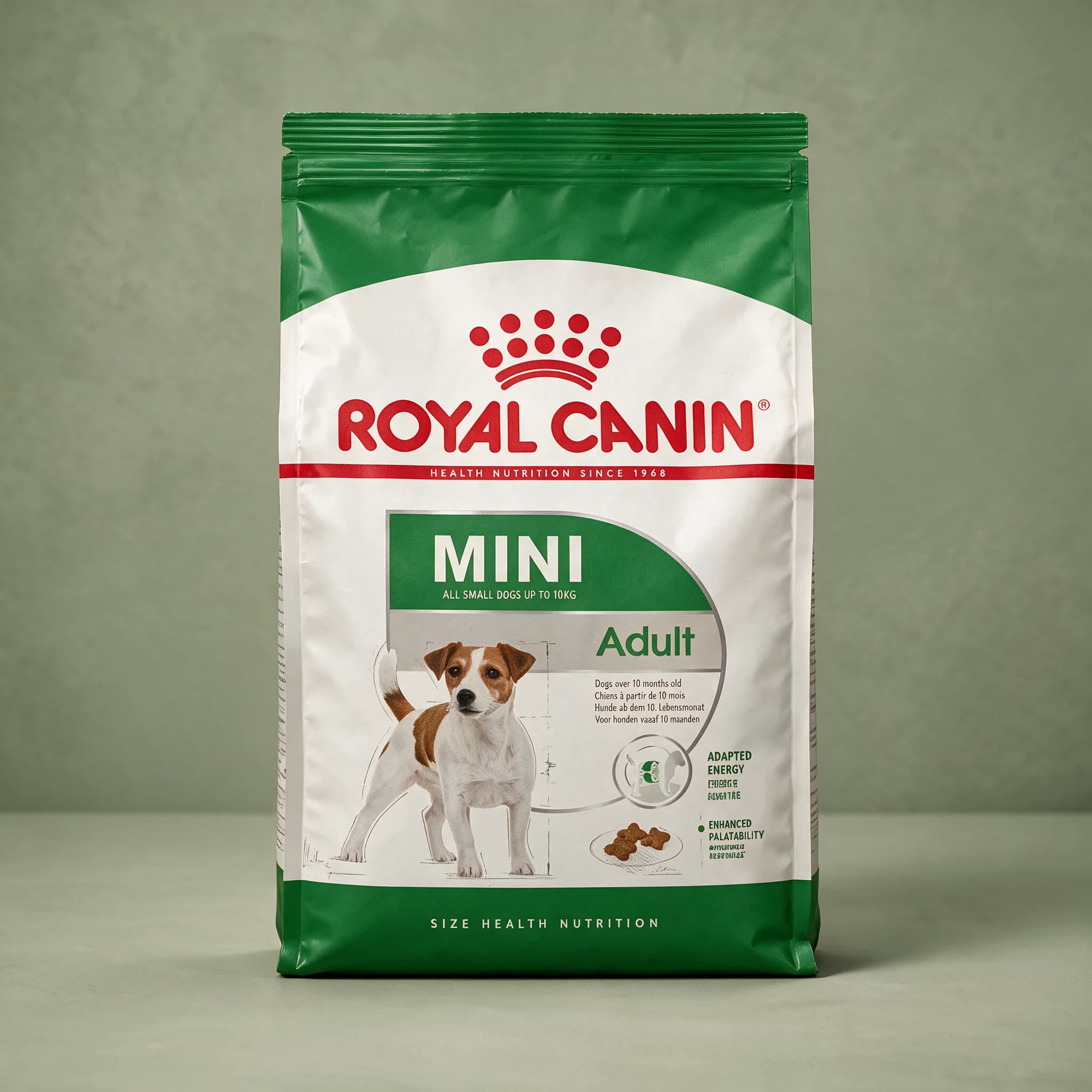 The blue and white Royal Canin Mini Adult dry dog food bag, sized for small breeds, showing a small adult dog illustration on the front against a sage green studio background.
