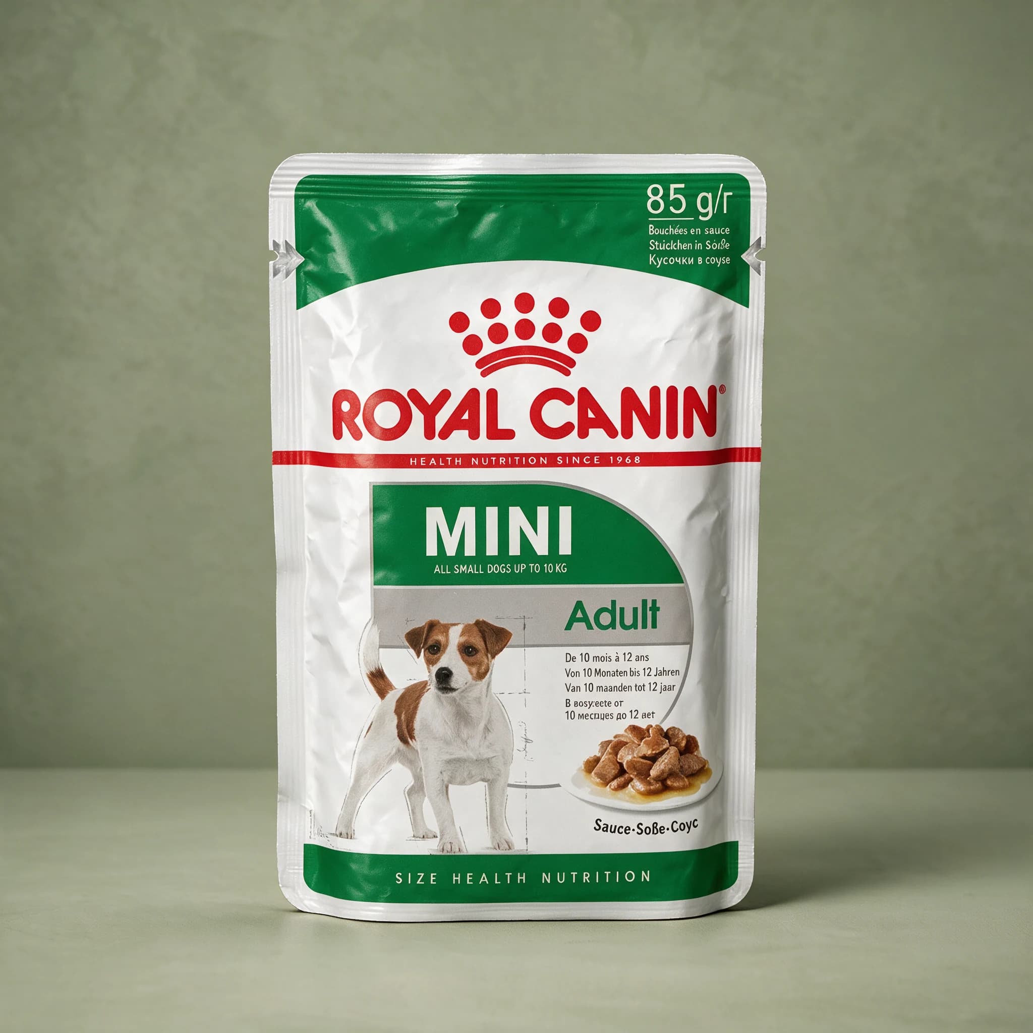 A green and white 85g Royal Canin Mini Adult wet dog food pouch with an illustrated small terrier-type dog and a plate of chunks in sauce, photographed against a plain sage green studio background.