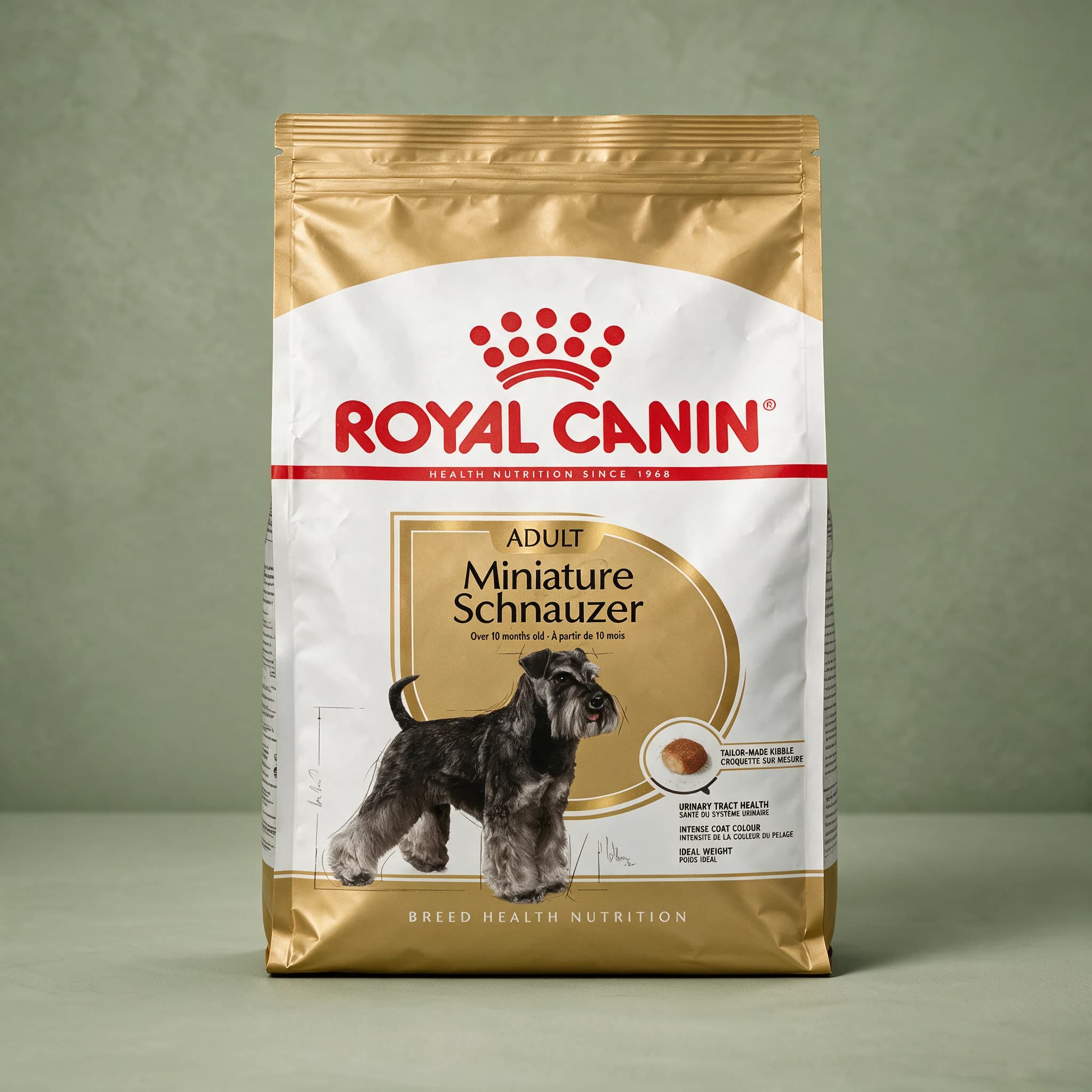 The white Royal Canin Miniature Schnauzer Adult dry dog food bag featuring an illustration of a Miniature Schnauzer, against a sage green studio background.