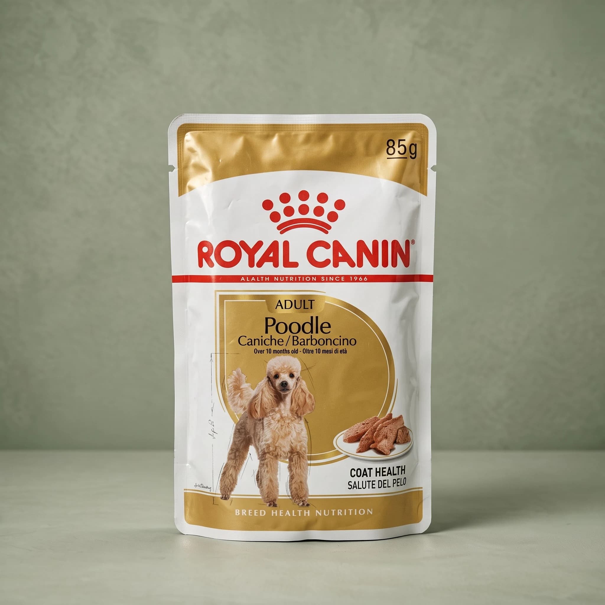 A gold and white Royal Canin "Poodle Adult" wet dog food pouch with the red crown logo and an illustration of a Poodle, standing upright against a plain sage green studio background.