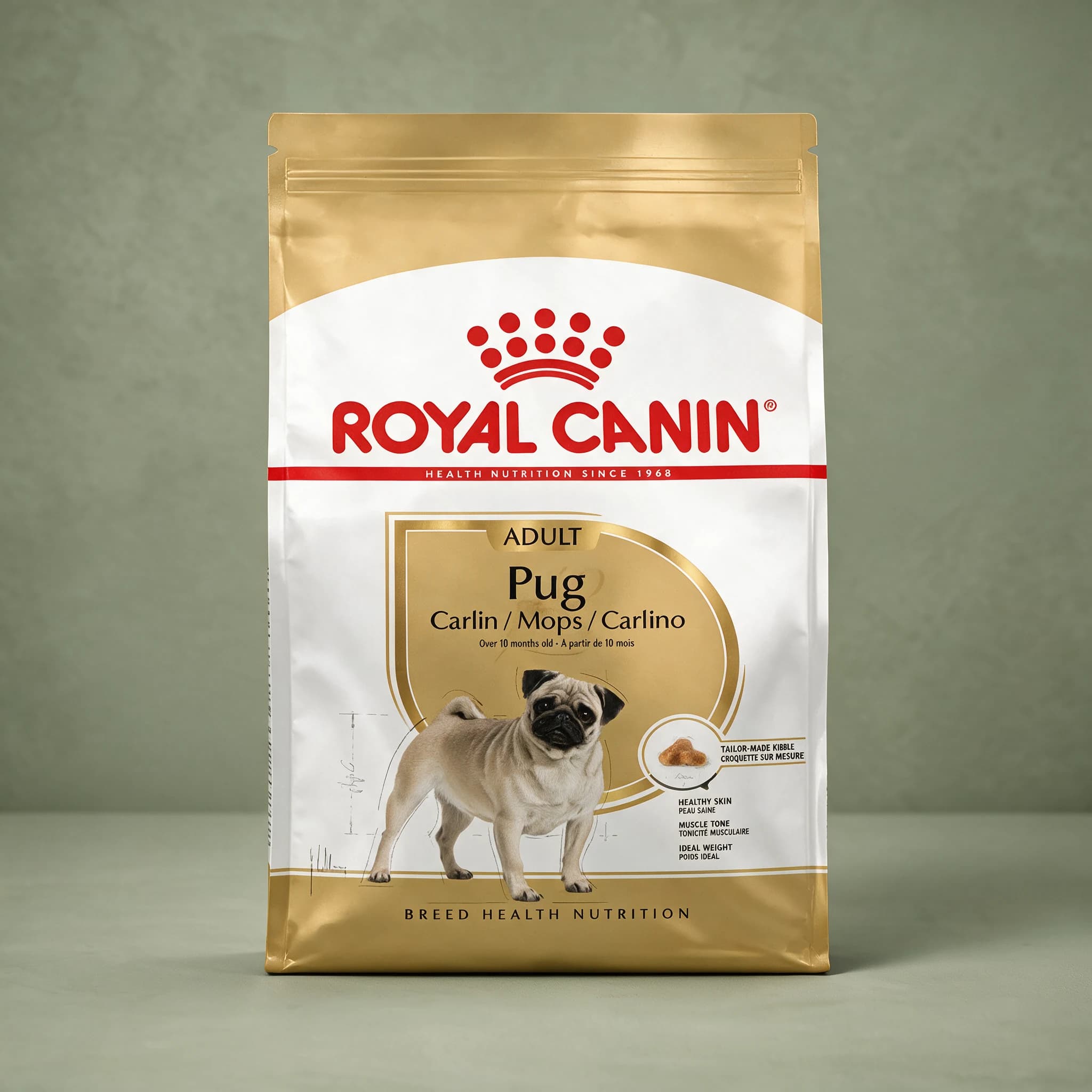 The white Royal Canin Pug Adult dry dog food bag featuring an illustration of a Pug, photographed against a sage green studio background.