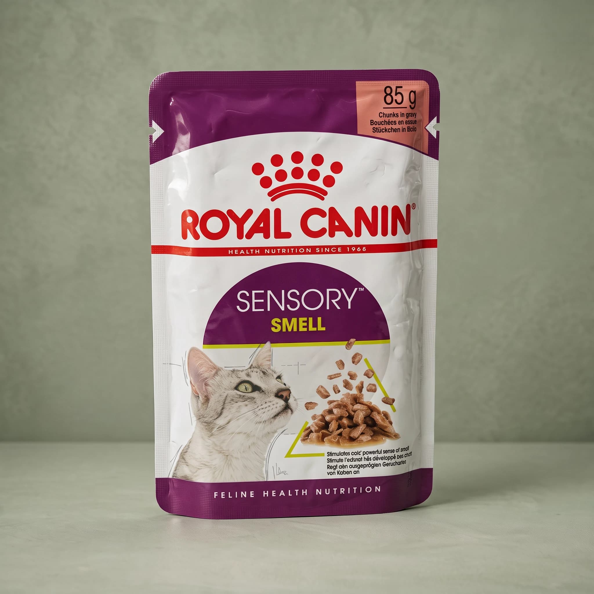 A Royal Canin foil pouch labeled "Sensory Smell" for adult cats, standing upright against a sage green studio background.