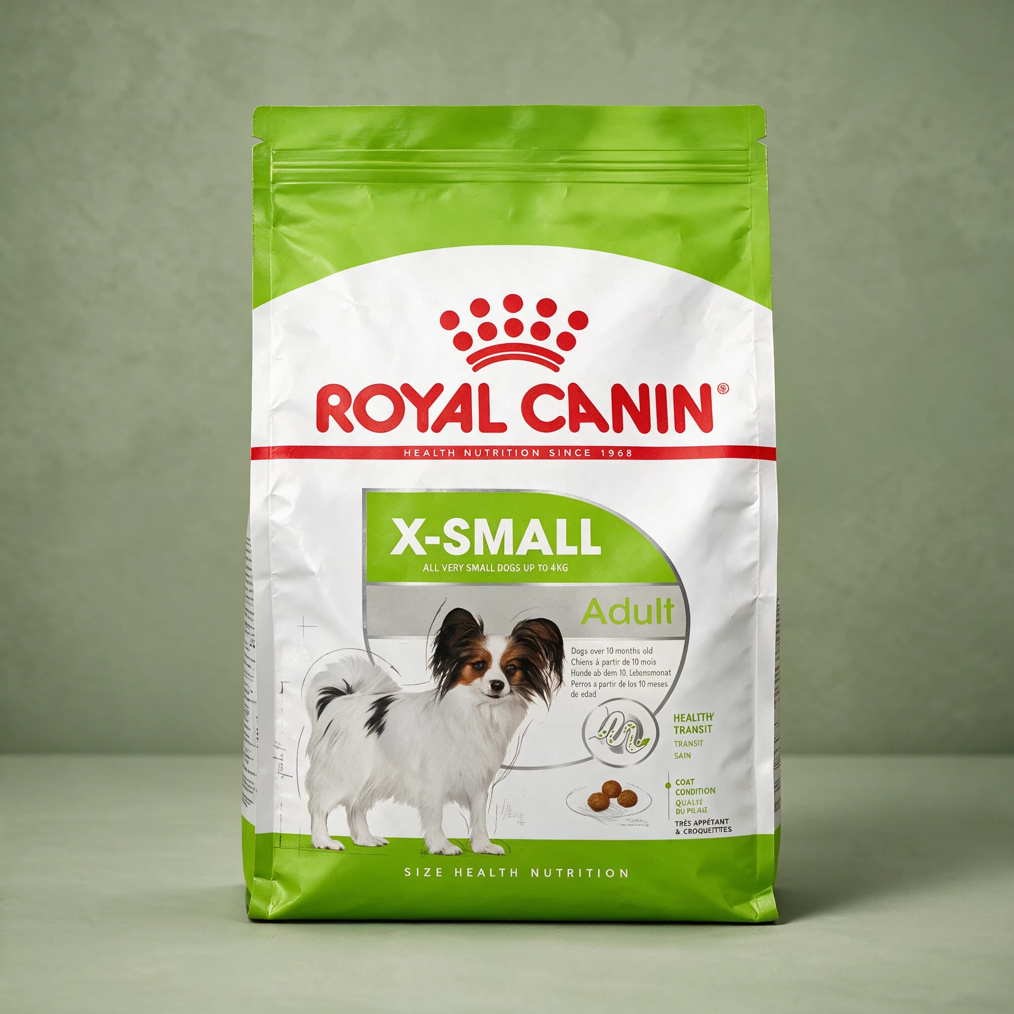 A grey and white Royal Canin X-Small Adult dry dog food bag featuring a small-breed dog illustration, photographed against a plain sage green studio background.