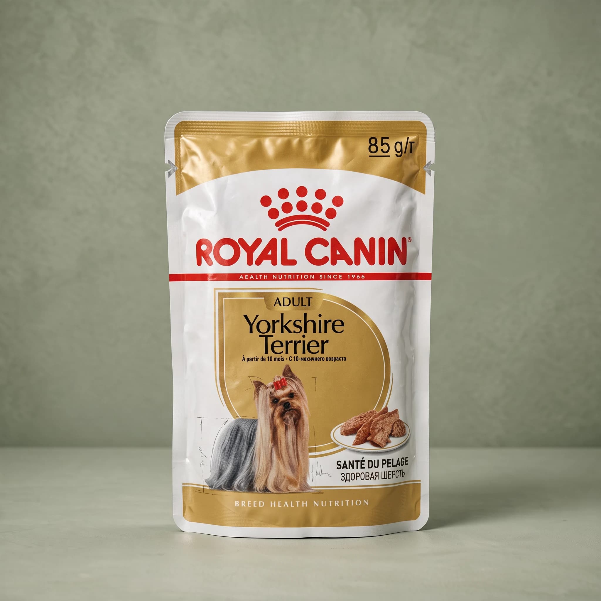 A gold and white 85g Royal Canin Yorkshire Terrier Adult wet dog food pouch with an illustrated Yorkshire Terrier wearing a red bow and a plate of loaf-style pieces under a "Santé du Pelage" coat health callout, photographed against a plain sage green studio background.